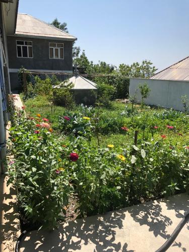 Shaki Host House – Sheki, MN