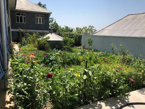 Shaki Host House – Sheki, MN