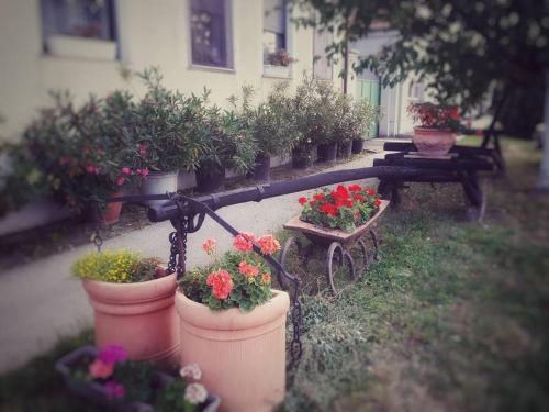  Esztike Vendégház, Unterkunft in Fertőd