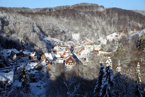 FeWo-Lerbachtal