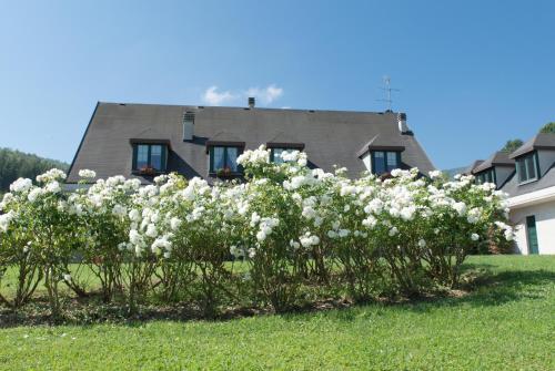  B&B La Provenzale in Tornolo