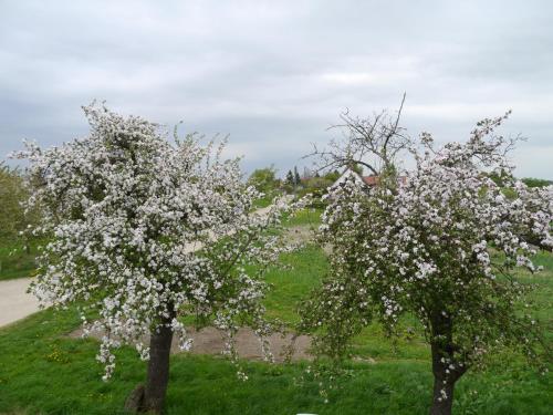 Ferienhaus-Uckermarkblick