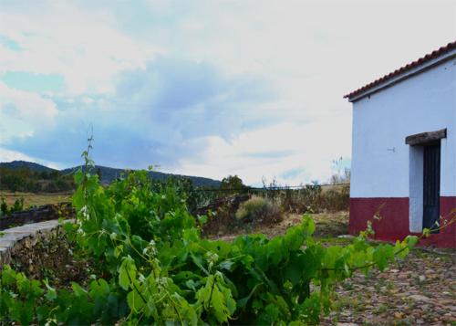 Casa Rural El Abuelo Alonso
