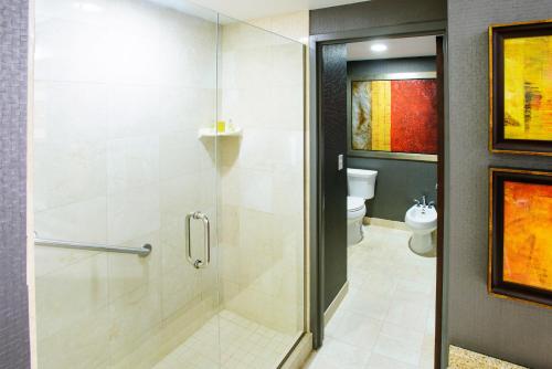DoubleTree Rochester - Mayo Clinic Area – Rochester, MN