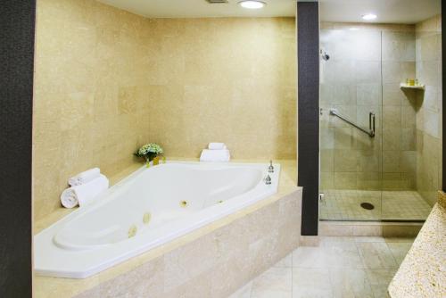 DoubleTree Rochester - Mayo Clinic Area – Rochester, MN