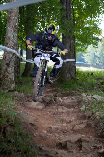 Allegheny Springs - image 9