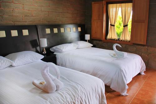 HOTEL Y CABANAS MOUNTAIN LODGE Zacatlan