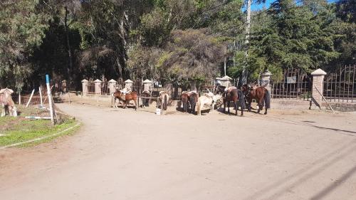 Departamento Papudo Laguna 120