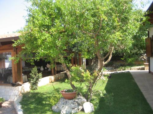 Bed and Breakfast La Casetta in Macchia di Monte