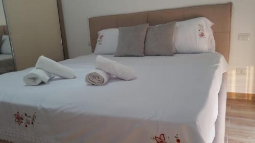 Shengjin - Helios Home - image 11