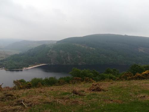 Relaxing space. in Wicklow