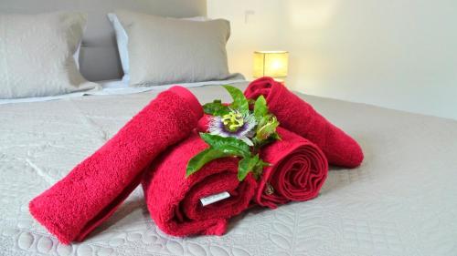  Jacinta Guest house in Arco da Calheta