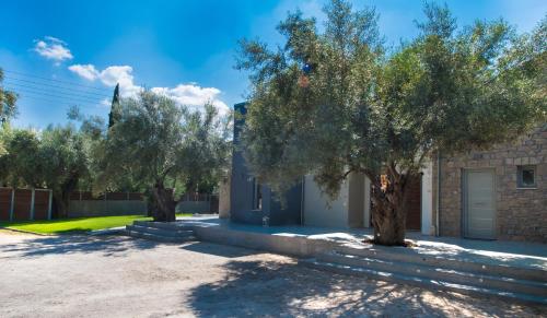 Lefkas Villas Lefkas Villas