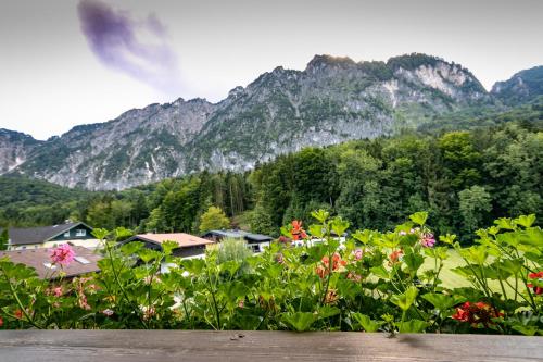 Pension Bergfried