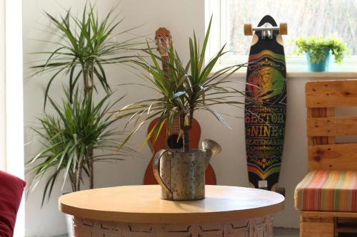 Instalaciones, Blacksheep Sagres Guesthouse & Surf in Sagres