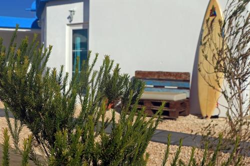 Blacksheep Sagres Guesthouse & Surf in Sagres