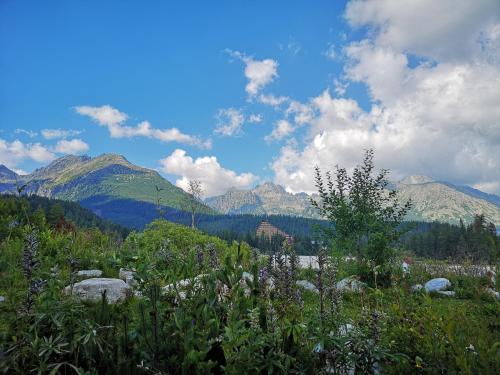 Apartment High Tatras - Veľký Slavkov