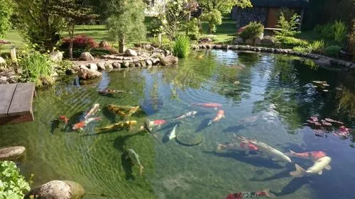 Haus am Koiteich in Plau am See, Deutschland