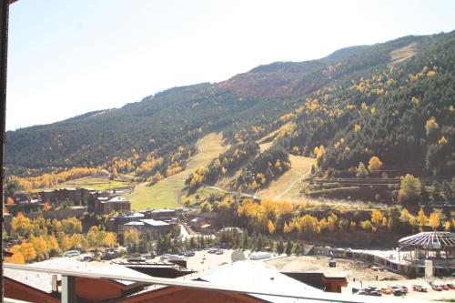 Genciana Estudio en el Tarter, zona Grandvalira