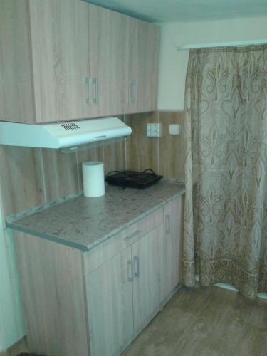 virtuve, 100 ÉVES NOSZTALGIA APARTMAN (100 EVES NOSZTALGIA APARTMAN) in Kiszombora