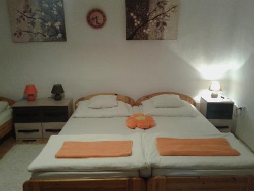 100 ÉVES NOSZTALGIA APARTMAN (100 EVES NOSZTALGIA APARTMAN) in Kiszombora