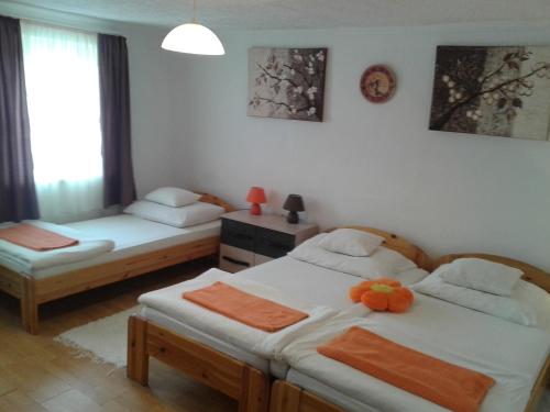 100 ÉVES NOSZTALGIA APARTMAN