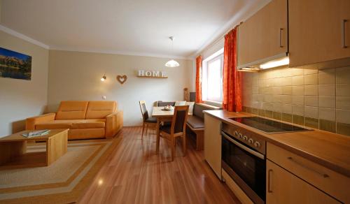 Das Apartment Binder in Schladming