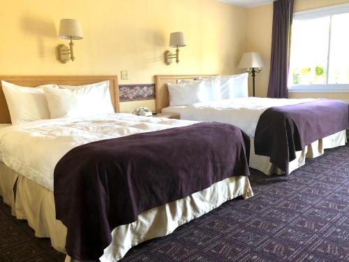 乔治湖林恩艾尔汽车旅馆 乔治湖林恩艾尔汽车旅馆