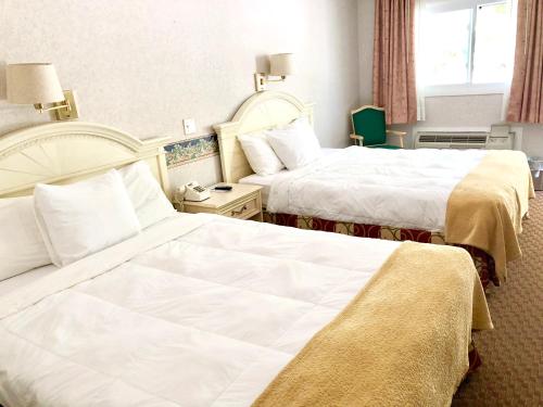 乔治湖林恩艾尔汽车旅馆 乔治湖林恩艾尔汽车旅馆