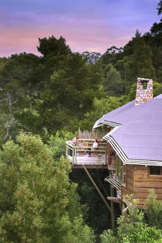 Tsala Treetop Lodge