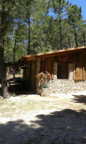 B&B Riópar - Cabaña en plena naturaleza Parque Natural Río mundo - Bed and Breakfast Riópar