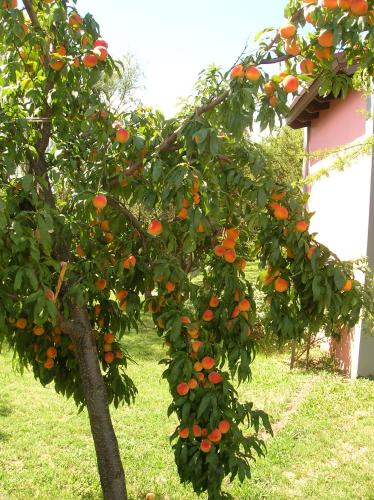 Posada Los Antiguos-Adults Only