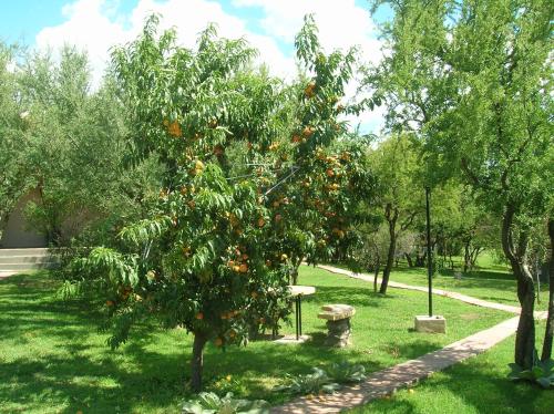 Posada Los Antiguos-Adults Only