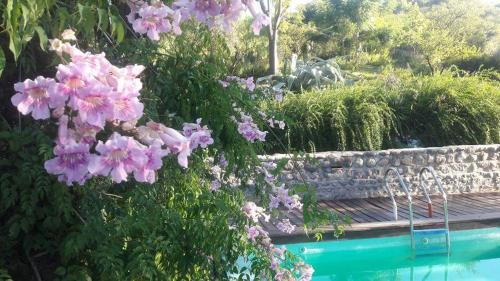 Skats, Quinta Santana in José de la Quintana