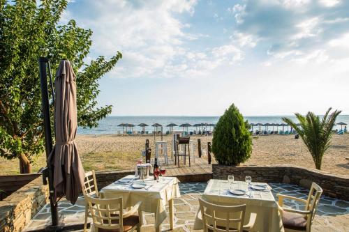 Coral Blue Beach Hotel Gerakini - image 6