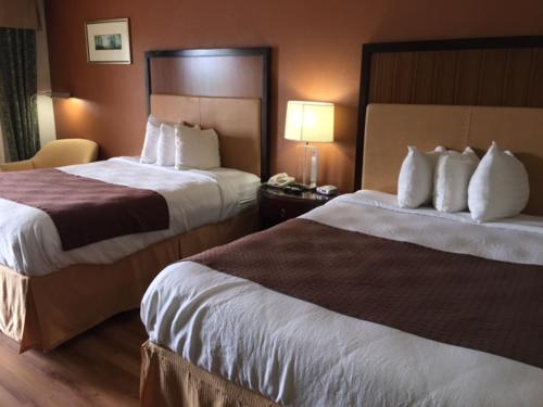 Royal Inn