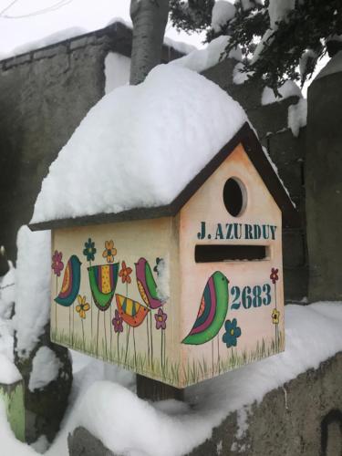 chula"s house