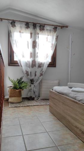 Villa Maraki - image 7