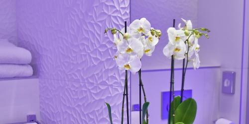 Best Western Plus Hotel Carlton Annecy - image 11