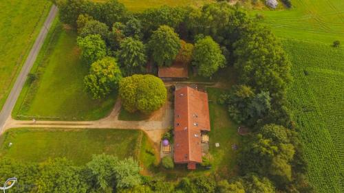 Villa Vigor - image 3