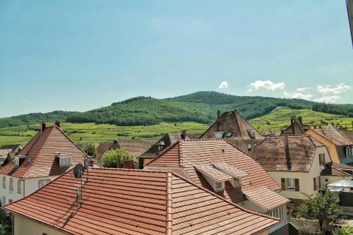 Aux 6 hirondelles - Location saisonnière - Ammerschwihr