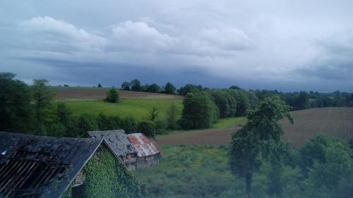 Le Domaine photo 16