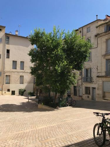 景色, Super Appart T2 - Historic Center - Idéalement situé (Super Appart T2 - Historic Center - Idealement situe) in モンペリエ