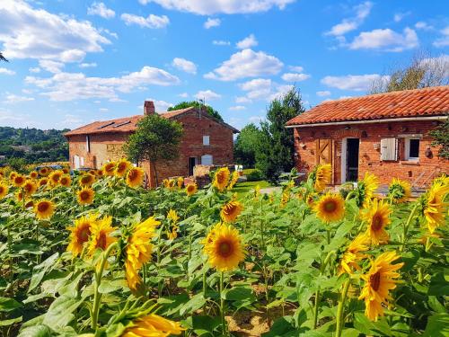 Les Hauts de Sames - Accommodation - Deyme