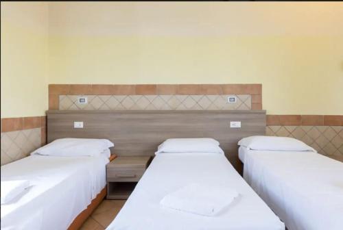 Alex Romano - image 12