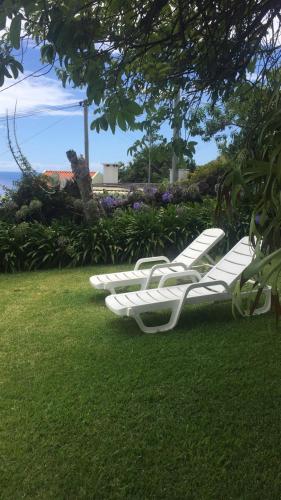  Villa Fedra in Arco da Calheta