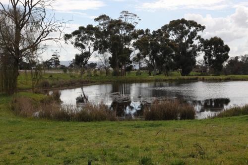 The Farmstead The Farmstead