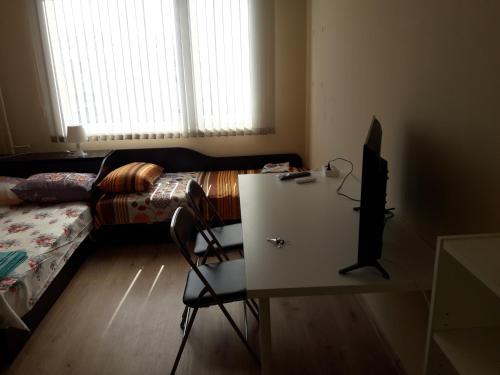 Guest House Mania - image 2
