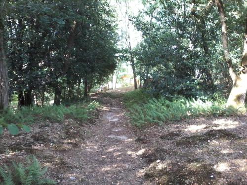 Au bout du chemin