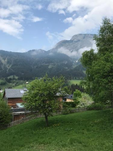Športne aktivnosti, Steuer 59 App 5 in Steuer
